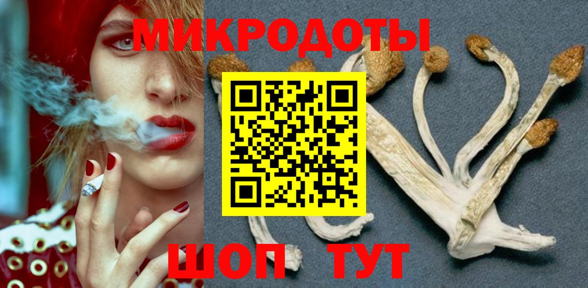 Галлюциногенные грибы MAGIC MUSHROOMS Артём