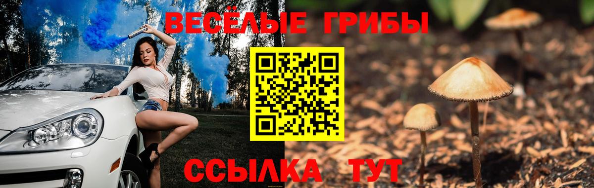 Галлюциногенные грибы Psilocybine cubensis  Вход с VPN  Артём  Псилоцибиновые грибы Psilocybe 